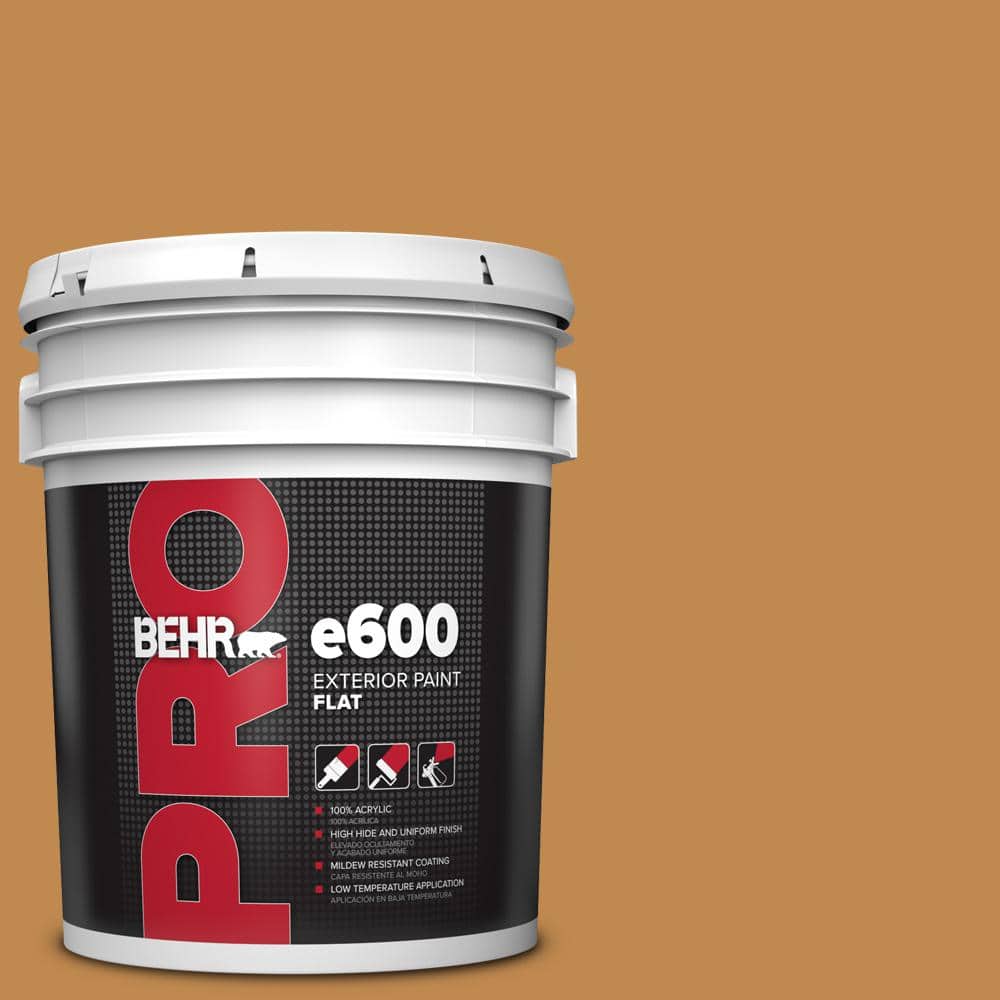 5 gal. #M250-6 Toffee Tart Flat Exterior Paint price history on PriceWatchPro