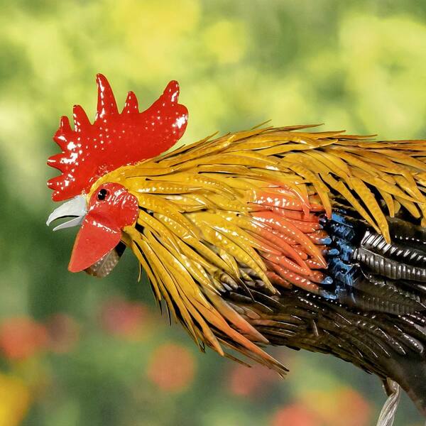 Zaer Ltd. International 21.25 in. Tall Iron Painted Rooster &quot