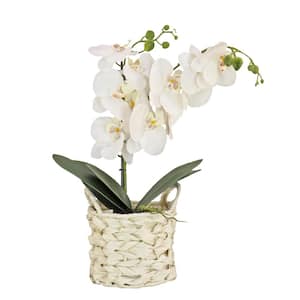 21 in. Artificial Floral Arrangements Orchid in White Basket- Color: White