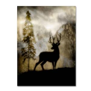 Mystic Deer by LightBoxJournal Floater Frame Animal Wall Art 14 in. x 19 in.