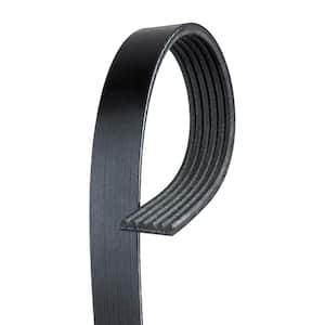 Standard Serpentine Belt - Fan and Alternator