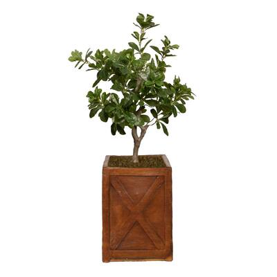 Artificial 30 in. High Artificial Tung Tree With Fiberstone Planter