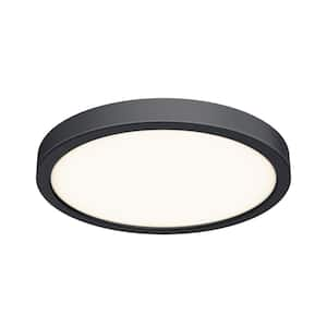 10 in. Round Indoor/Outdoor LED Flush Mount