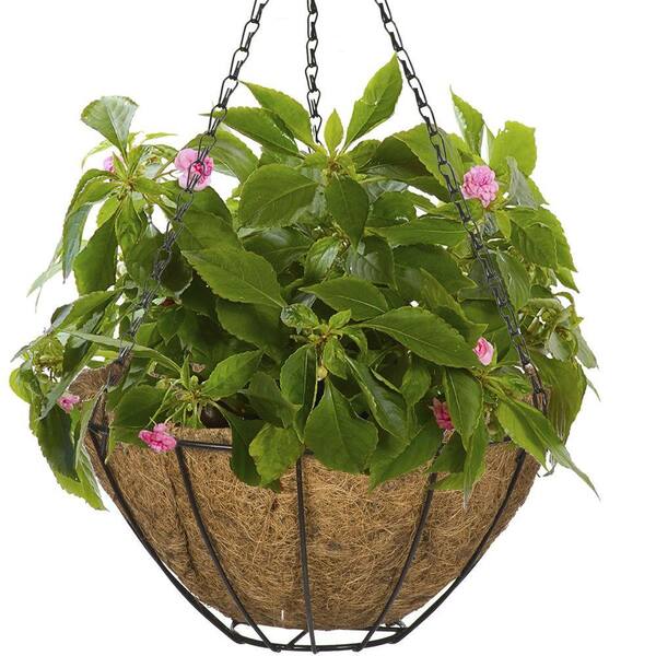 Hampton Bay 14 In Metal Hanging Grower S Basket Hgb14 B The Home Depot