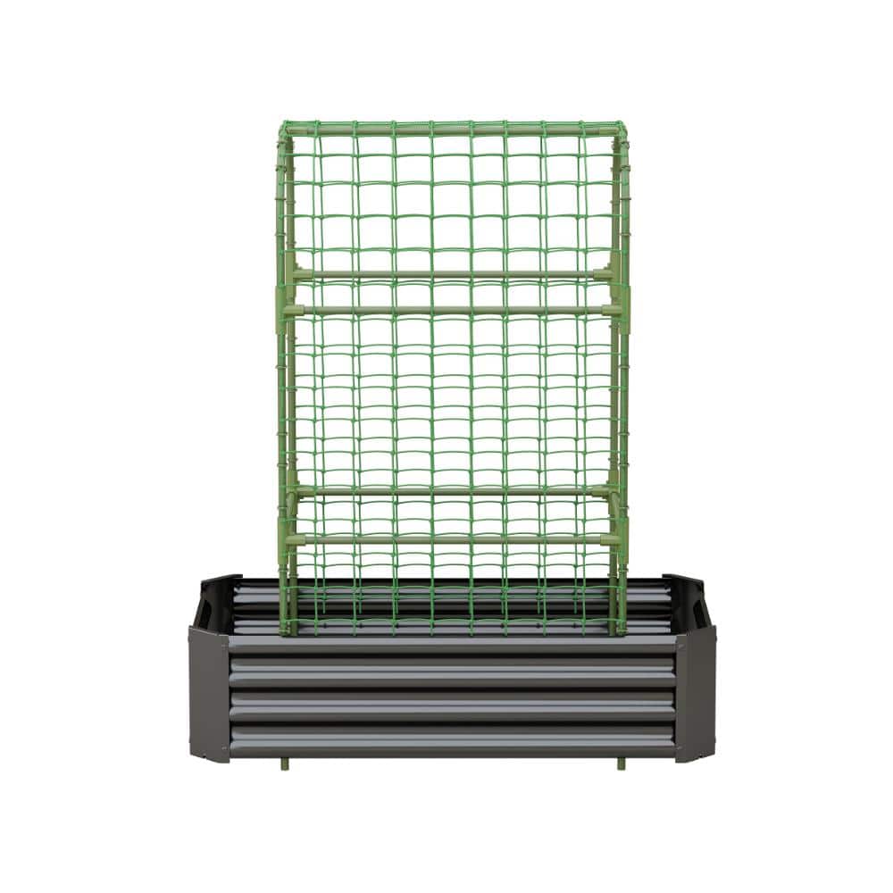 4x2 ft. Black Raised Garden Bed with Trellis 59 in. Tall Galvanized Metal Arch Planter Box for Climbing Plants price history on PriceWatchPro
