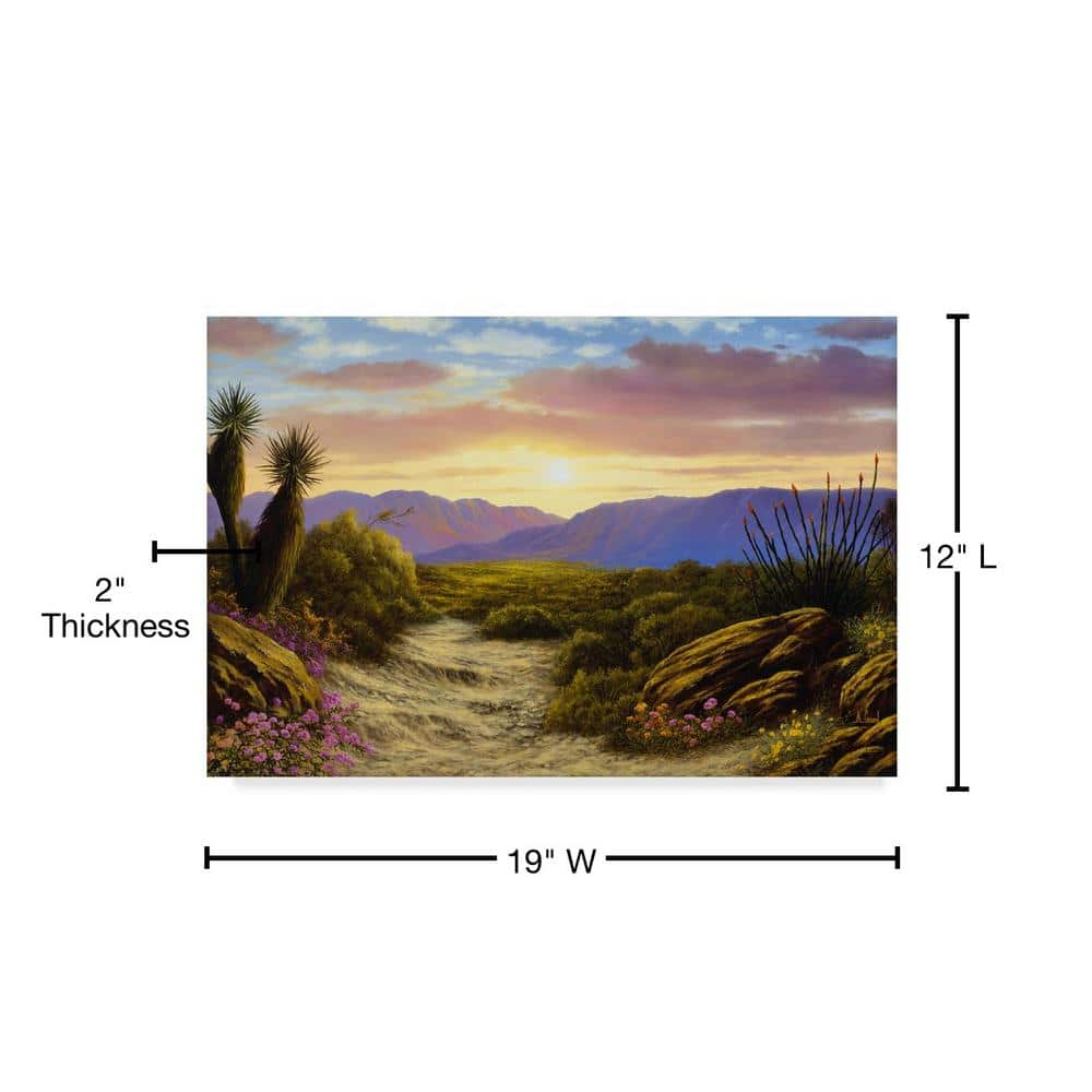 Desert Scene Giclee Print on Canvas with Floater Frame