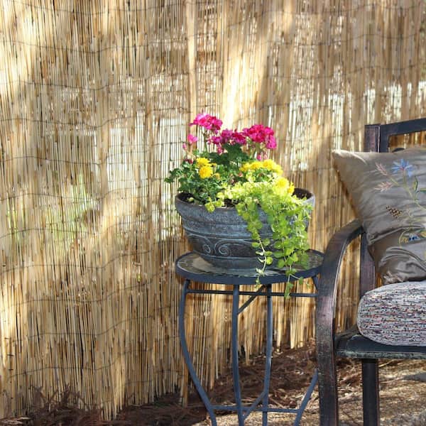 Vigoro 6 ft. H x 16 ft. W Natural Reed Fencing 4477412 - The Home Depot