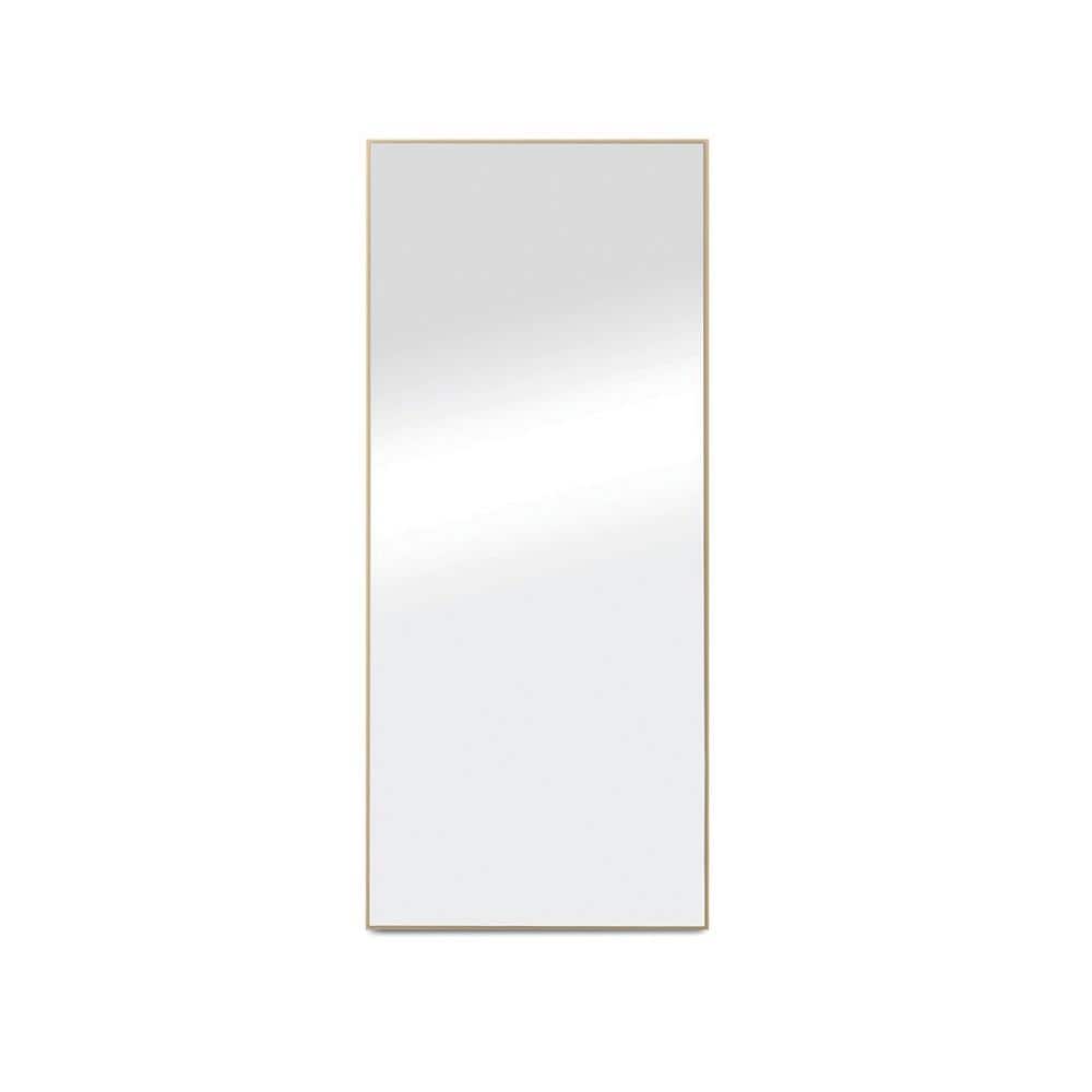 22 in. W x 65 in. H Aluminum Alloy Frame Floor Mirror, Full Body Mirror for