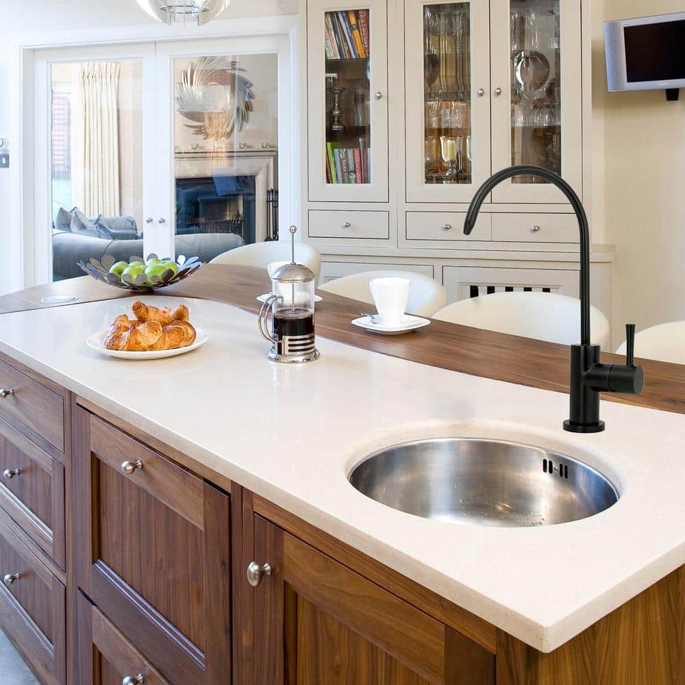 Matte Black High Arc Single-Handle Drinking Water Faucet
