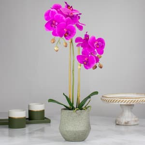 14 in. Purple Artificial Orchid Plant with a Gray Stone Pot