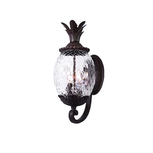 Lanai Collection 3-Light Black Coral Outdoor Wall Lantern Sconce
