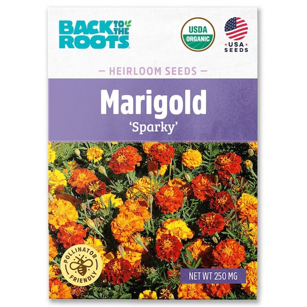 Organic Sparky Marigold Seed (1-Pack)
