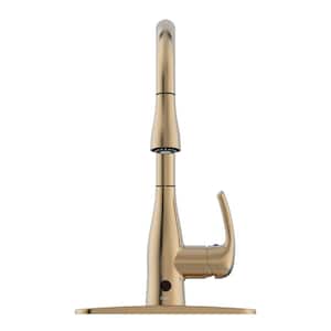 Kraus Oletto One-Handle Pull-Down Kitchen Faucet in Brushed Brass  KPF-2620BB