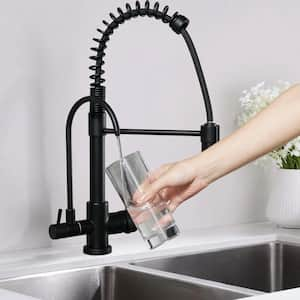 Double Handles Solid Brass Pull Down Sprayer Kitchen Faucet with Drinking Water Filter in Matte Black