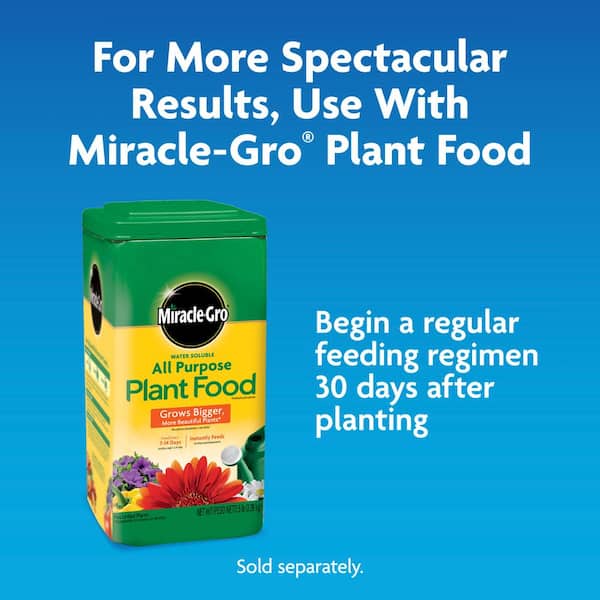 Miracle-Gro Moisture Control Potting Mix Soil 25 qt. For Container Plants,  Protects Against Over- and Under-Watering 70181431 - The Home Depot