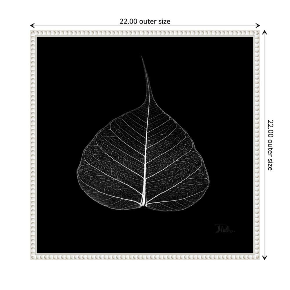 Amanti Art Minimalist Leaf on Black I by Patricia Pinto Canvas Wall Art Print Framed 22 x 22-in.