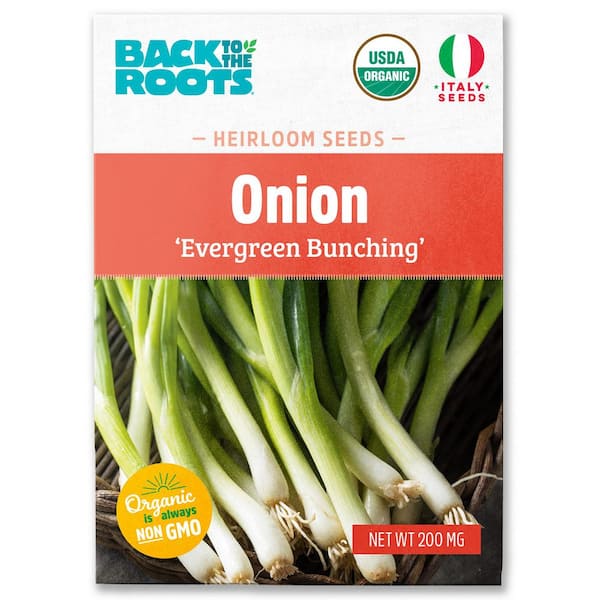 Organic Evergreen Bunching Onion Seed (1-Pack)