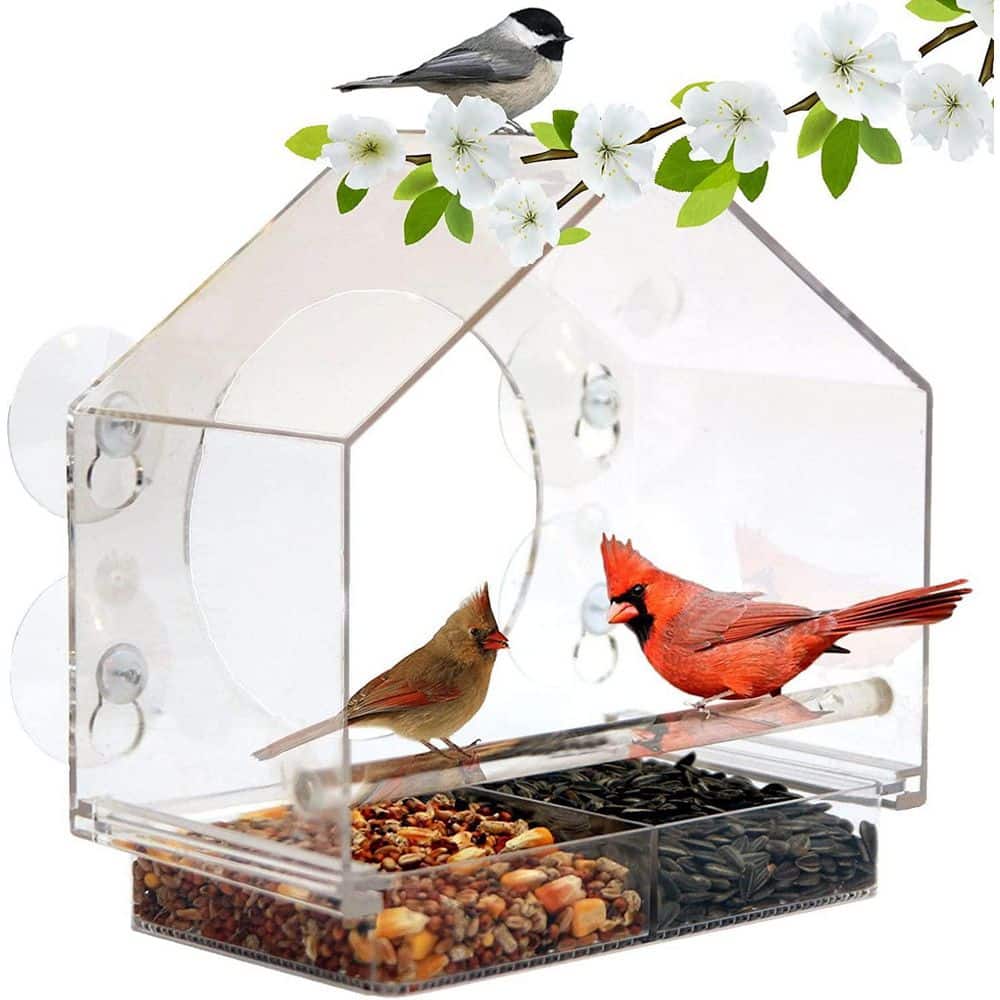 Afoxsos Smart Bird Feeder with Solar Roof, 1080P HD Camera, AI Identify Bird  Species, Wi-Fi Connection (Include 16G SD Card) HDSA10OT011 - The Home Depot