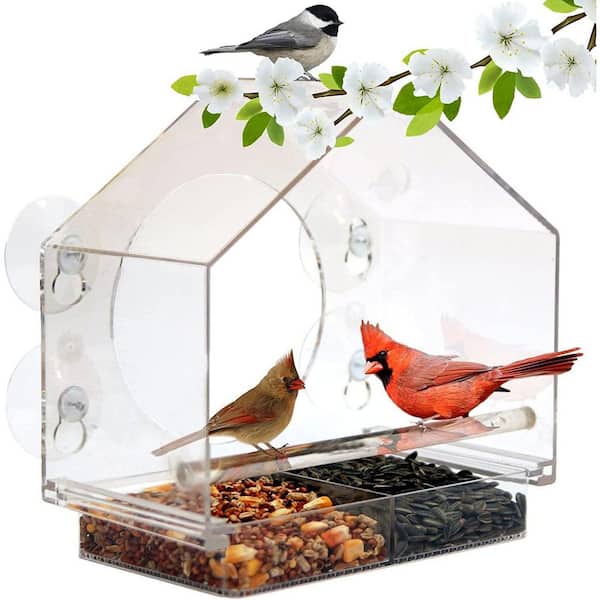 Unbranded 10 in. x 10 in. Outdoor Clear Window Bird Feeder - Clear Window Mount Acrylic Birdhouse for Cat Window Perches