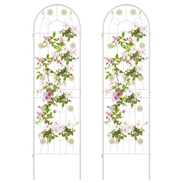Misopily 71 in. x 20 in. Outdoor Metal Garden Trellis Rustproof Trellis for Climbing Plants in Green (2 Pack)