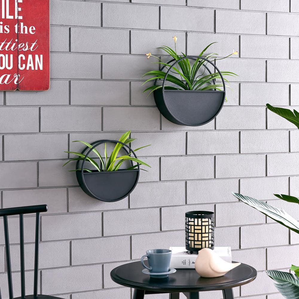 Black Iron Round Wall Planter Set for Indoor Plants