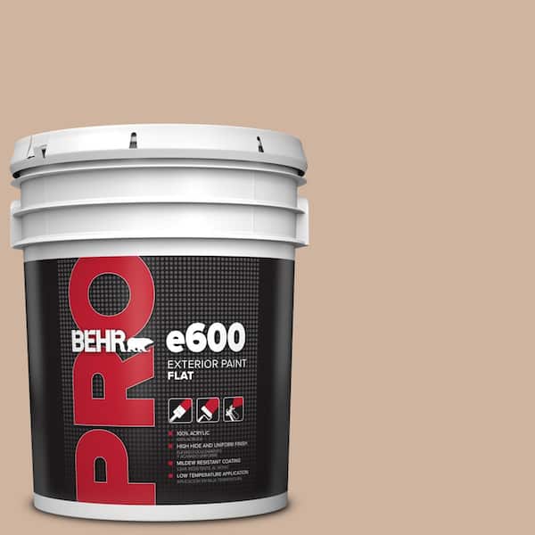 5 gal. #BNC-01 Bauhaus Buff Flat Exterior Paint