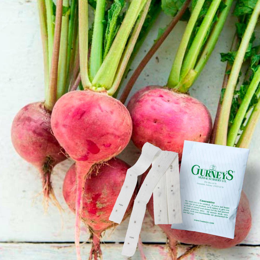 Gurney's 15 ft. Radish Champion (Seed Tape)63040 The Home Depot