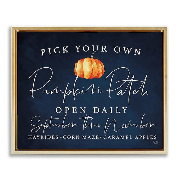 Stupell Industries Pick Your Pumpkins by Lux + Me Designs 1 Piece Floater Frame Graphic Print Typography Poster Art Print 21 in. x 17 in.