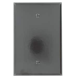 1-Gang No Device Blank Wallplate, Oversized, Thermoset, Box Mount, Brown
