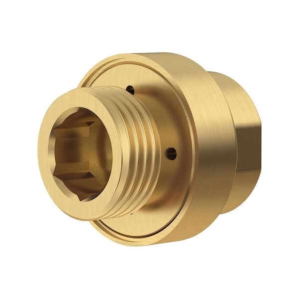 1/2 in. In-line Vacuum Breaker for Hand Shower in Brushed Gold