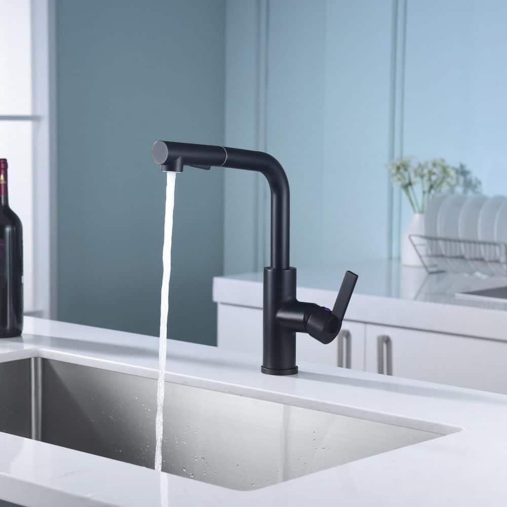 Matte Black Contemporary Pull-Out Kitchen Faucet with Lever Handle