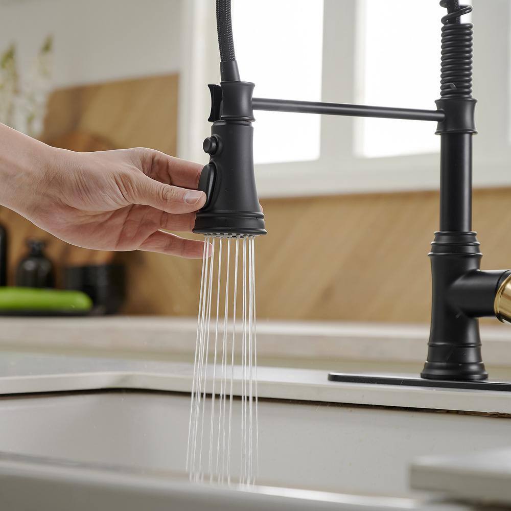 Matte Black and Gold High-Arc Kitchen Faucet with Pull-Out Spray