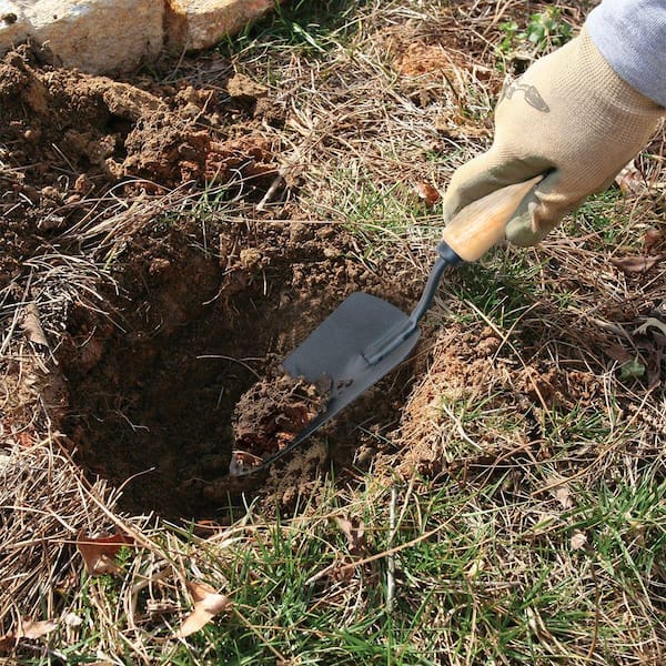 5.3 in. Garden Trowel with Wood Handle