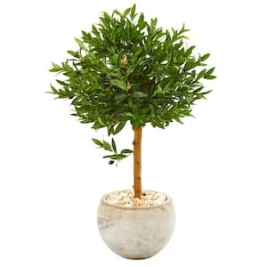 Indoor/Outdoor 38-In. Olive Topiary Artificial Tree in Bowl Planter