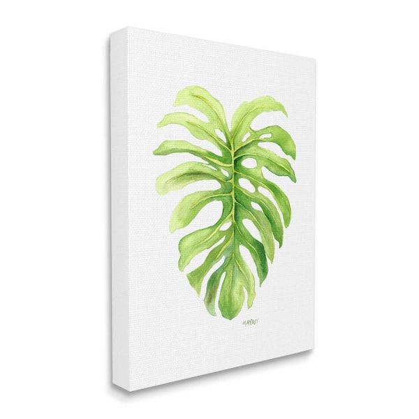 Stupell Industries "Monstera Leaf Tropical Plant Over White" by Melissa Hyatt LLC Unframed Nature Canvas Wall Art Print 16 in. x 20 in.