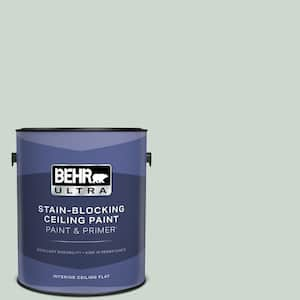 1 gal. #MQ3-21 Breezeway Ceiling Flat Interior Paint and Primer