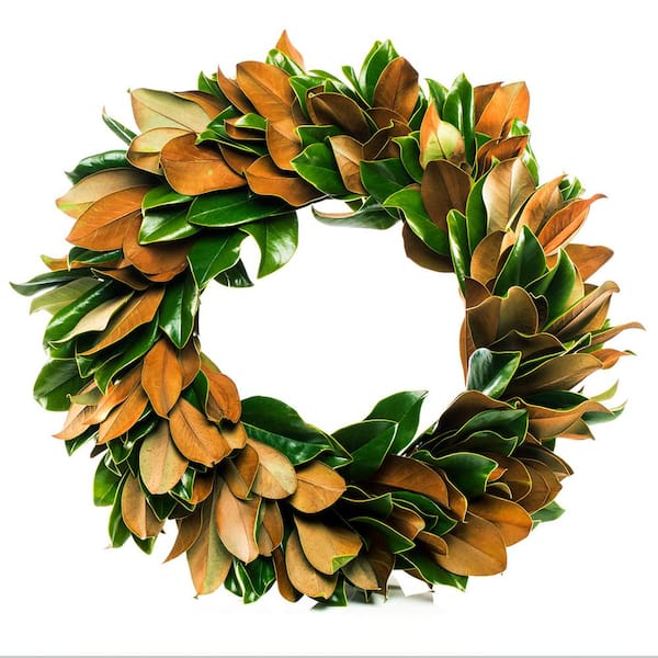 VAN ZYVERDEN 24 in. Artificial Classic Magnolia Christmas Wreath