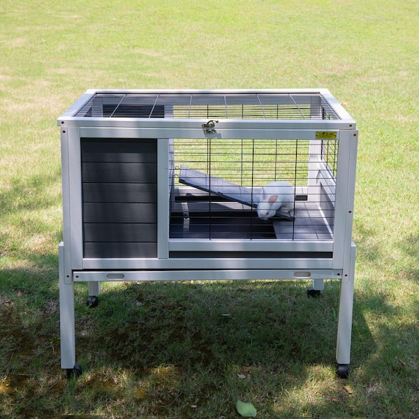 Moveable hotsell rabbit hutch