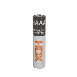 AAA Alkaline Battery (60-Pack)