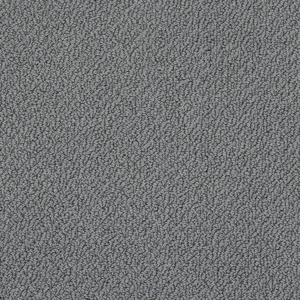 8 in. x 8 in. Loop Carpet Sample - Lightbourne - Color Nightfall price history on PriceWatchPro
