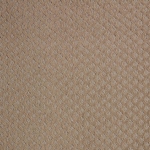 Bradlow  - Apple Fritter - Brown 25 oz. Polyester Pattern Installed Carpet