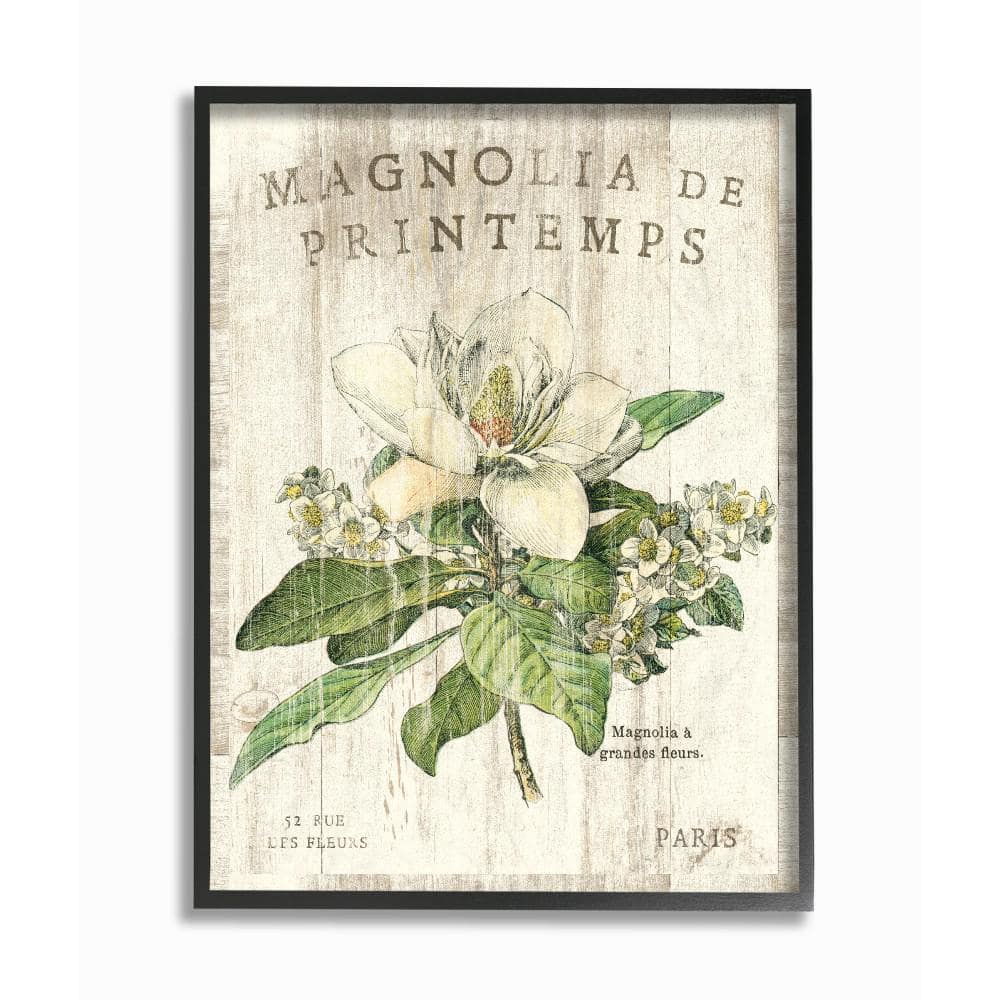 11 in. x 14 in. French Magnolias In Spring by Sue Schlabach Wood Frame