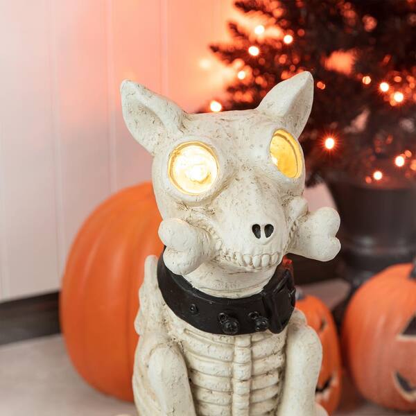 New Halloween trick or treating dog with light up outlet skeleton pail home decor