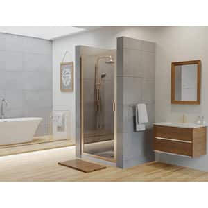 Paragon 24 in. to 24.75 in. x 70 in. Framed Continuous Hinged Shower Door in Brushed Nickel with Clear Glass