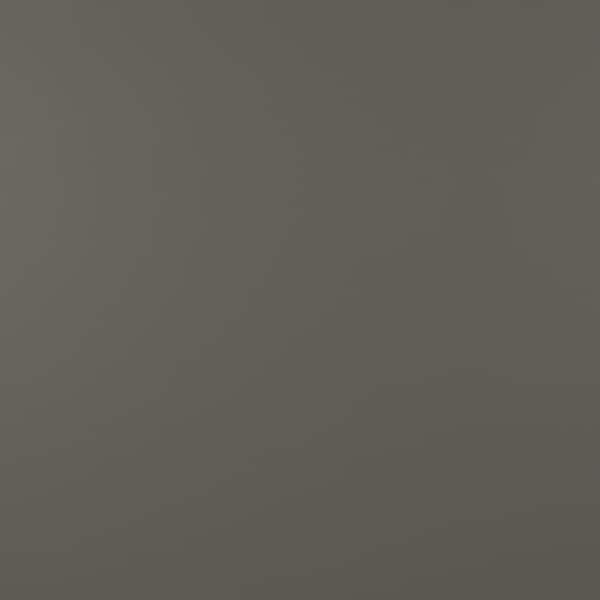 Hardie Panel HZ5 48 in. x 96 in. Statement Collection Rich Espresso Smooth Fiber Cement Panel Siding