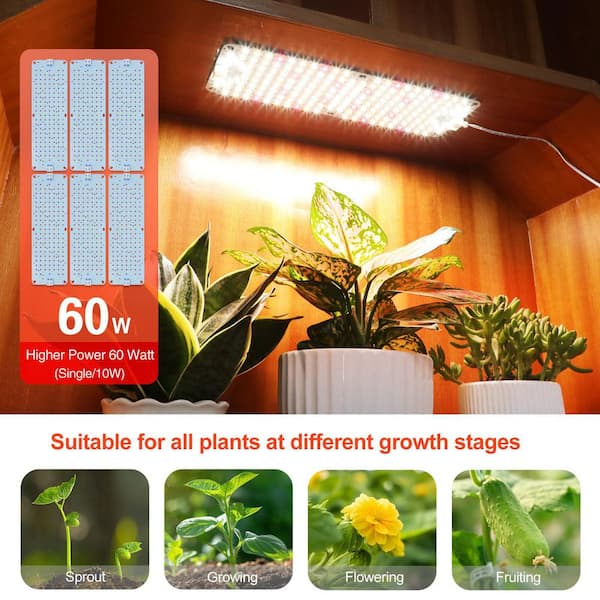 BeamBox 60W LED Grow Light Panels, Linkable Full Spectrum Flat