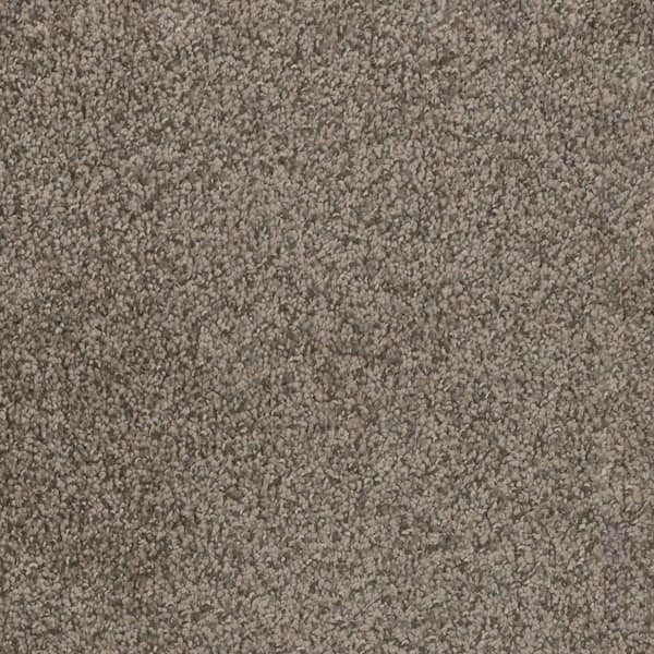 Home Decorators Collection Affectionate I - Favorable - Brown 40 oz. SD Polyester Texture Installed Carpet