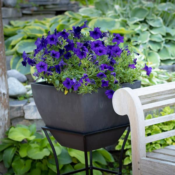20 in. Square Indoor/Outdoor Graphite Polyethylene Planter