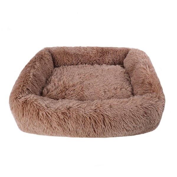 Little best sale dog beds