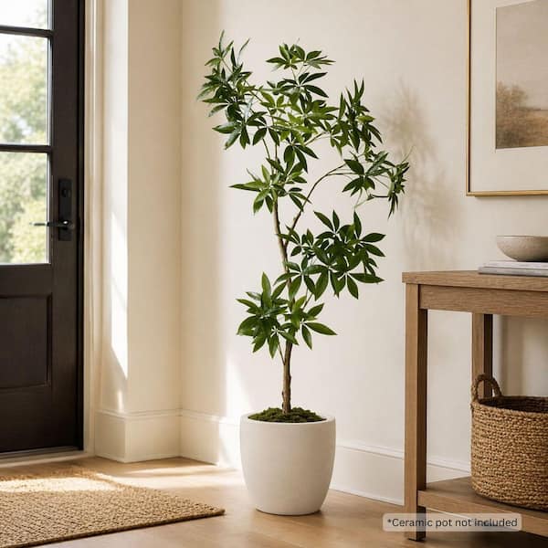 Shine Company 7 ft. Premium Artificial Money Tree in Nursery Pot